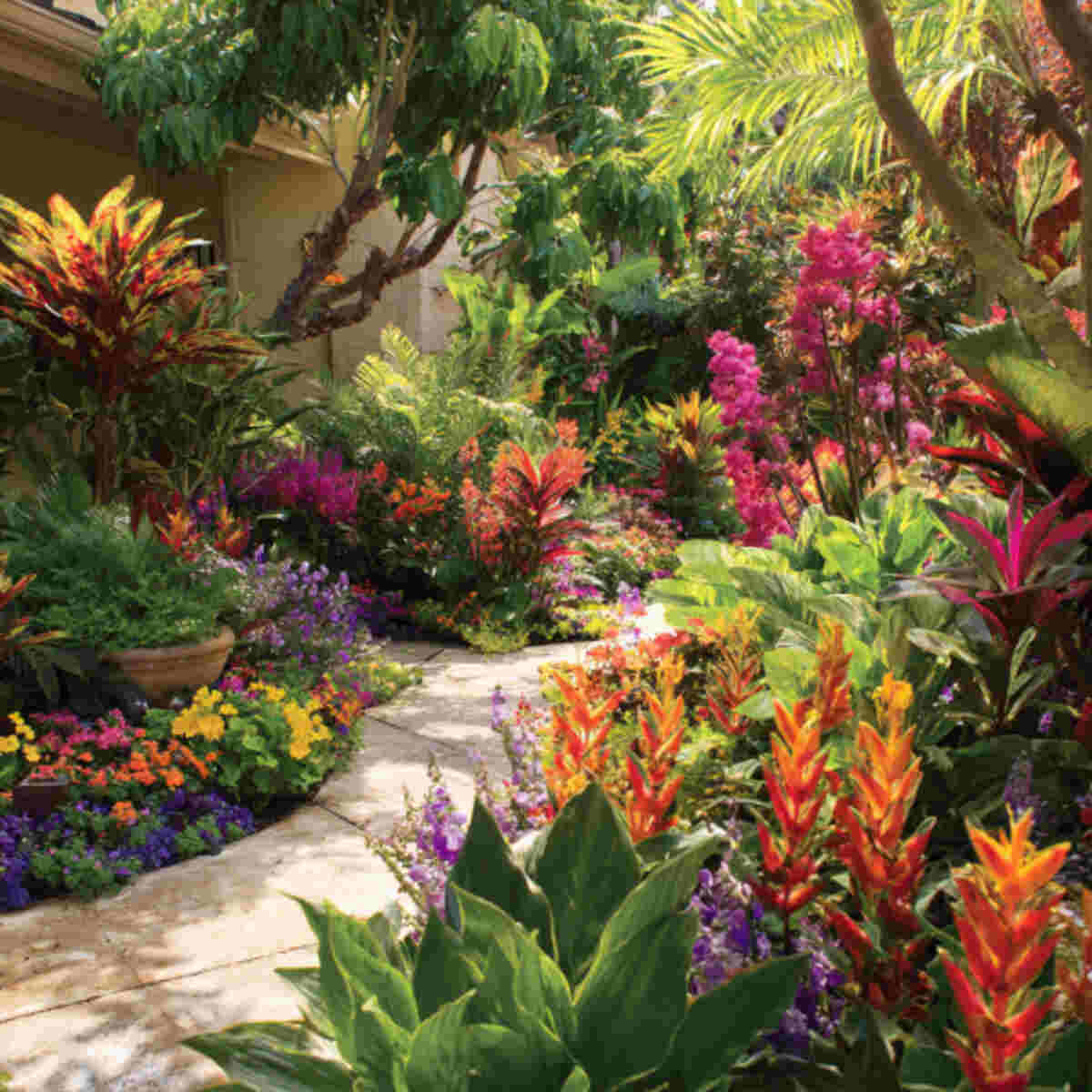 Tropical-Themed Color Transition Garden