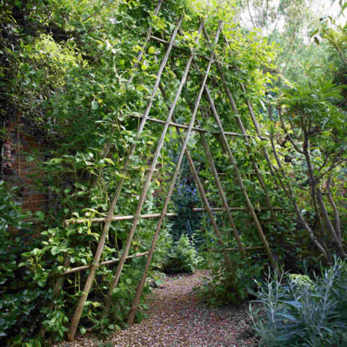 Twine trellises