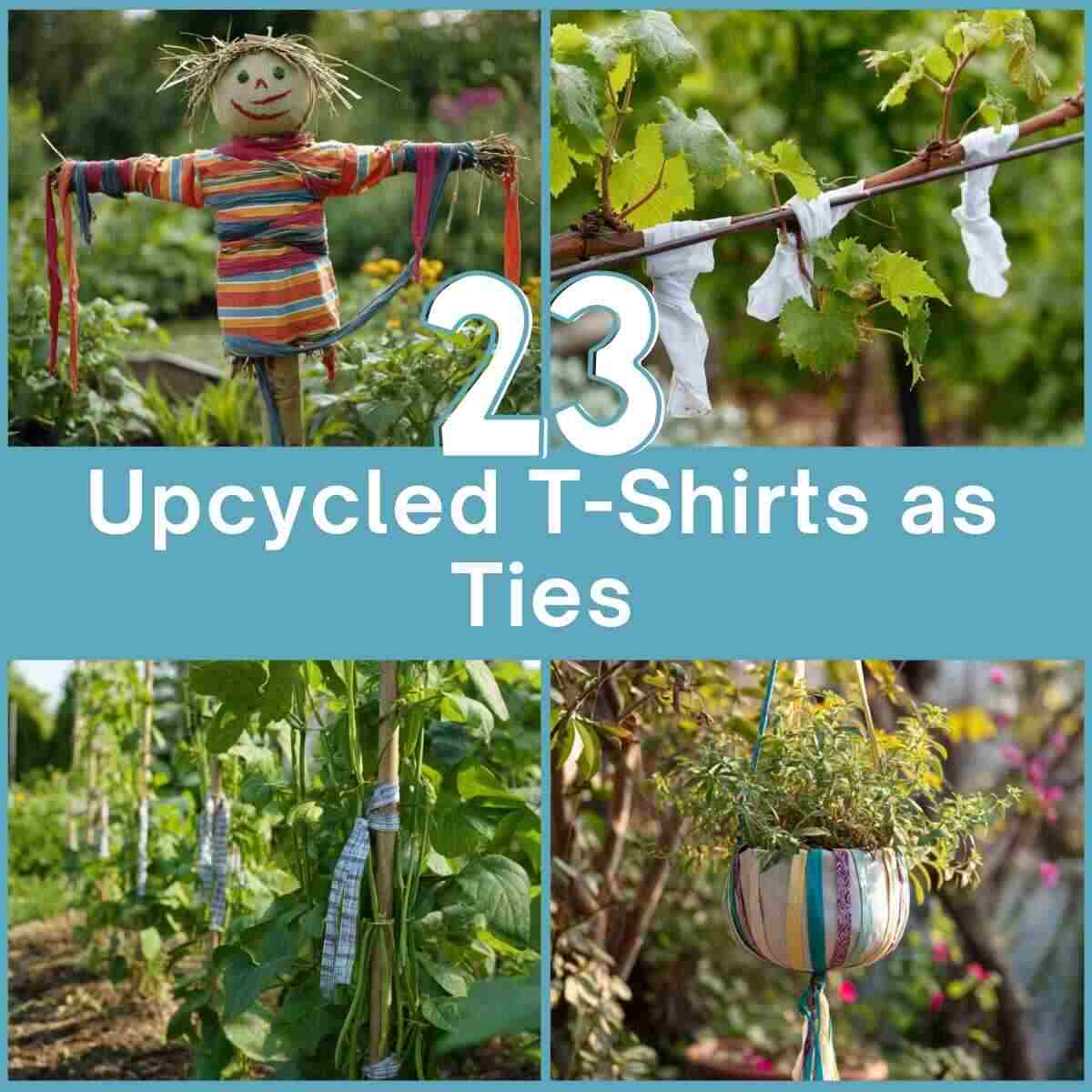 Upcycled T-Shirts as Ties Garden Ideas.