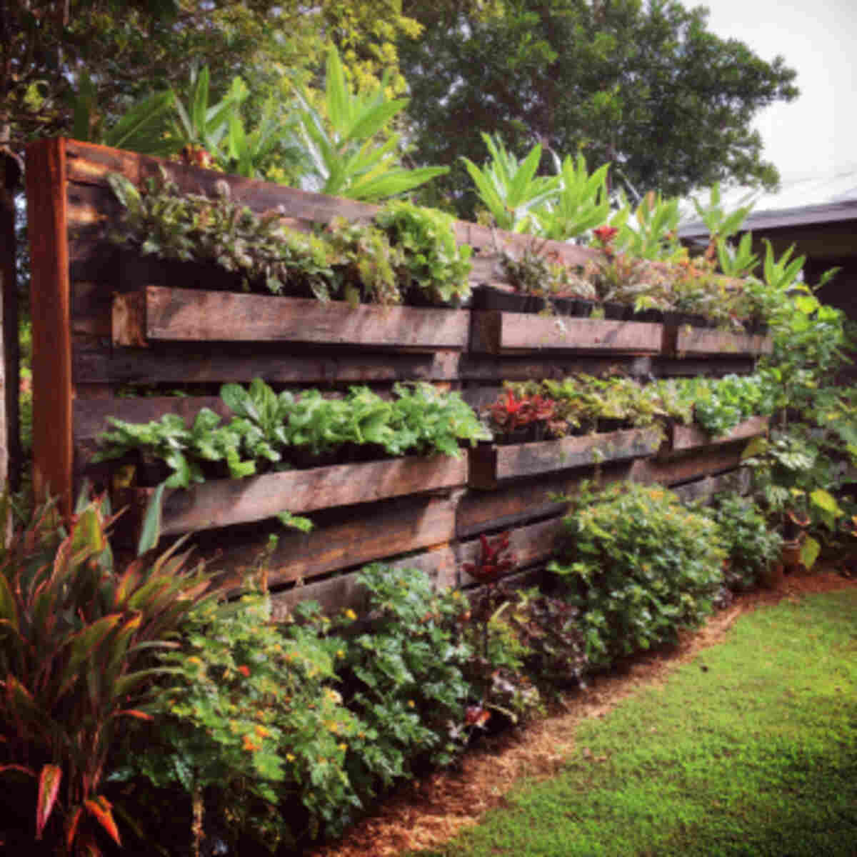 Vertical Food Forest Wall