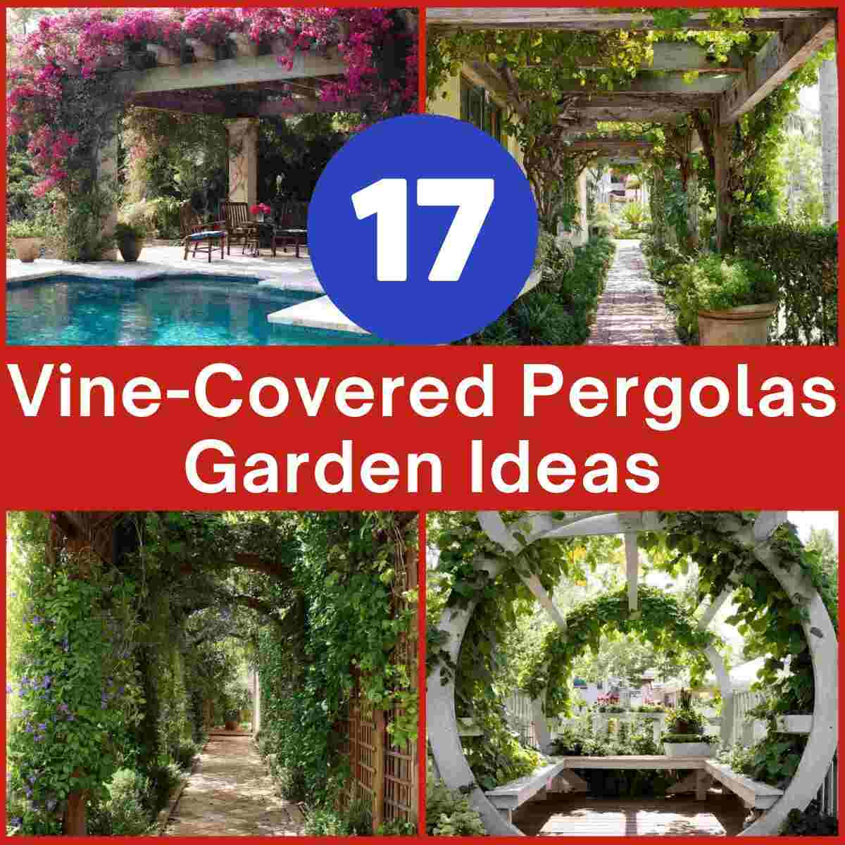 Vine-Covered Pergolas 