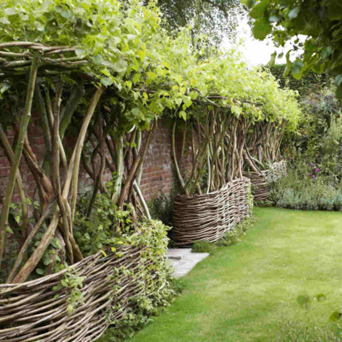 Willow branches
