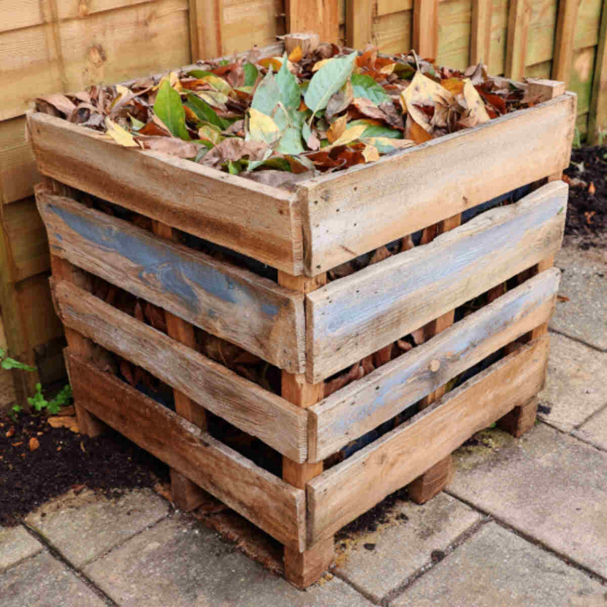 Wooden pallet leaf mold bin