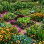 19 Smart Square Foot Layouts Garden Ideas to Grow More in Less Space
