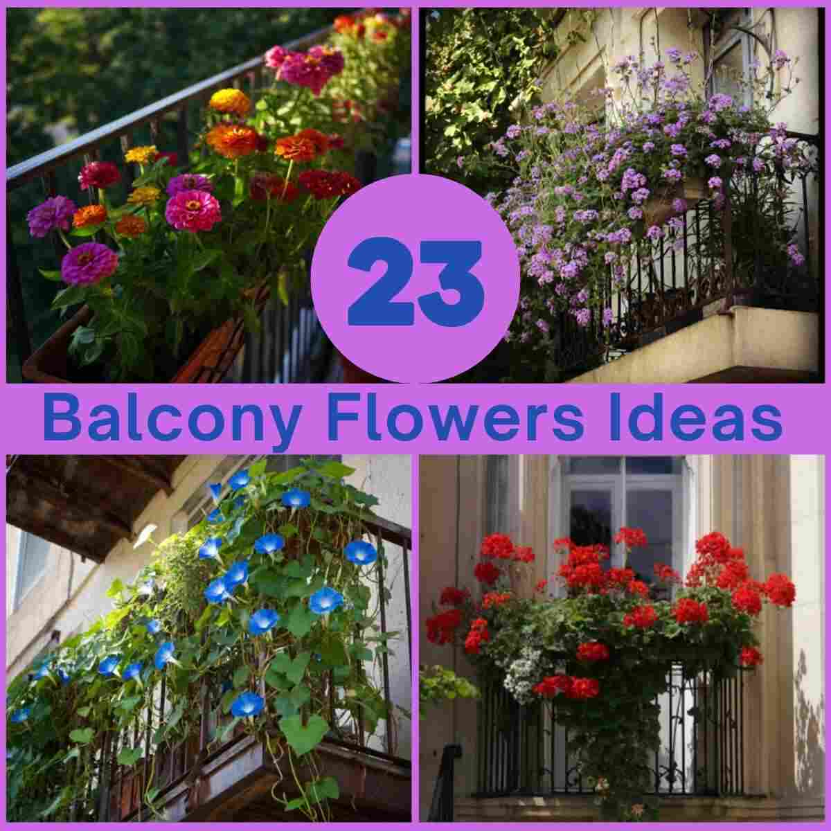 Balcony Flowers Ideas