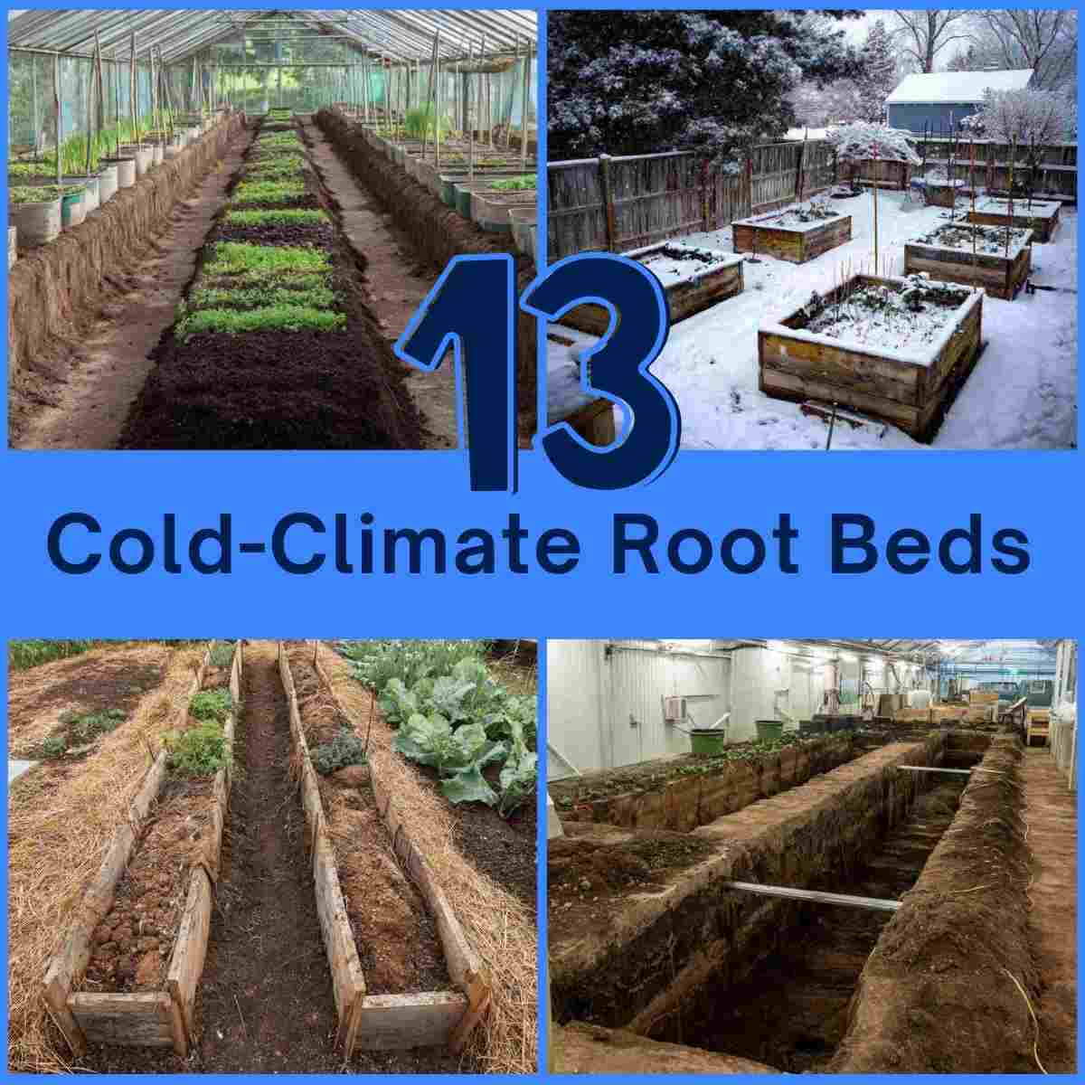 Cold-Climate Root Beds Garden Ideas