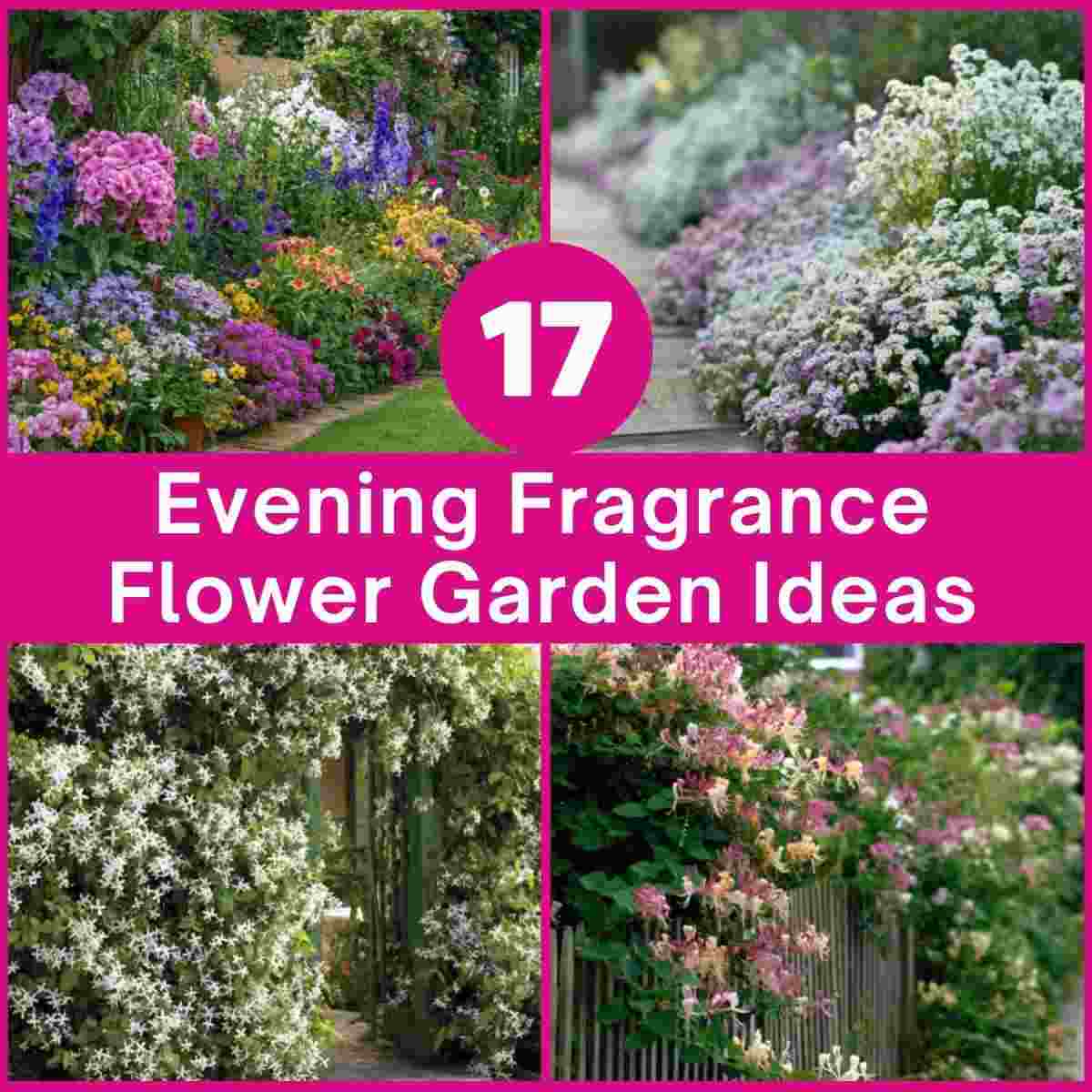 Evening Fragrance Flower Garden Ideas