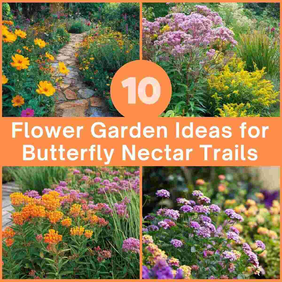 Flower Garden Ideas for Butterfly Nectar Trails