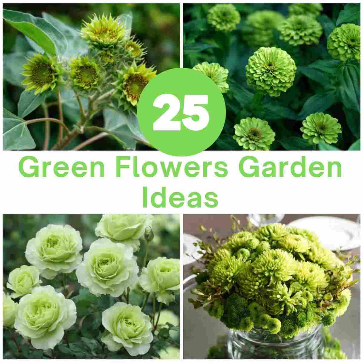 Green Flowers Garden Ideas