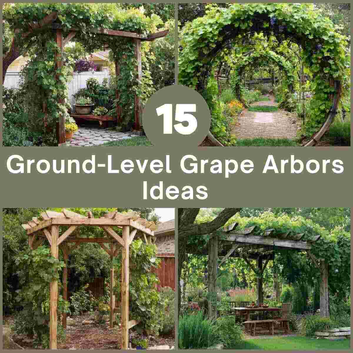 Ground-Level Grape Arbors Ideas