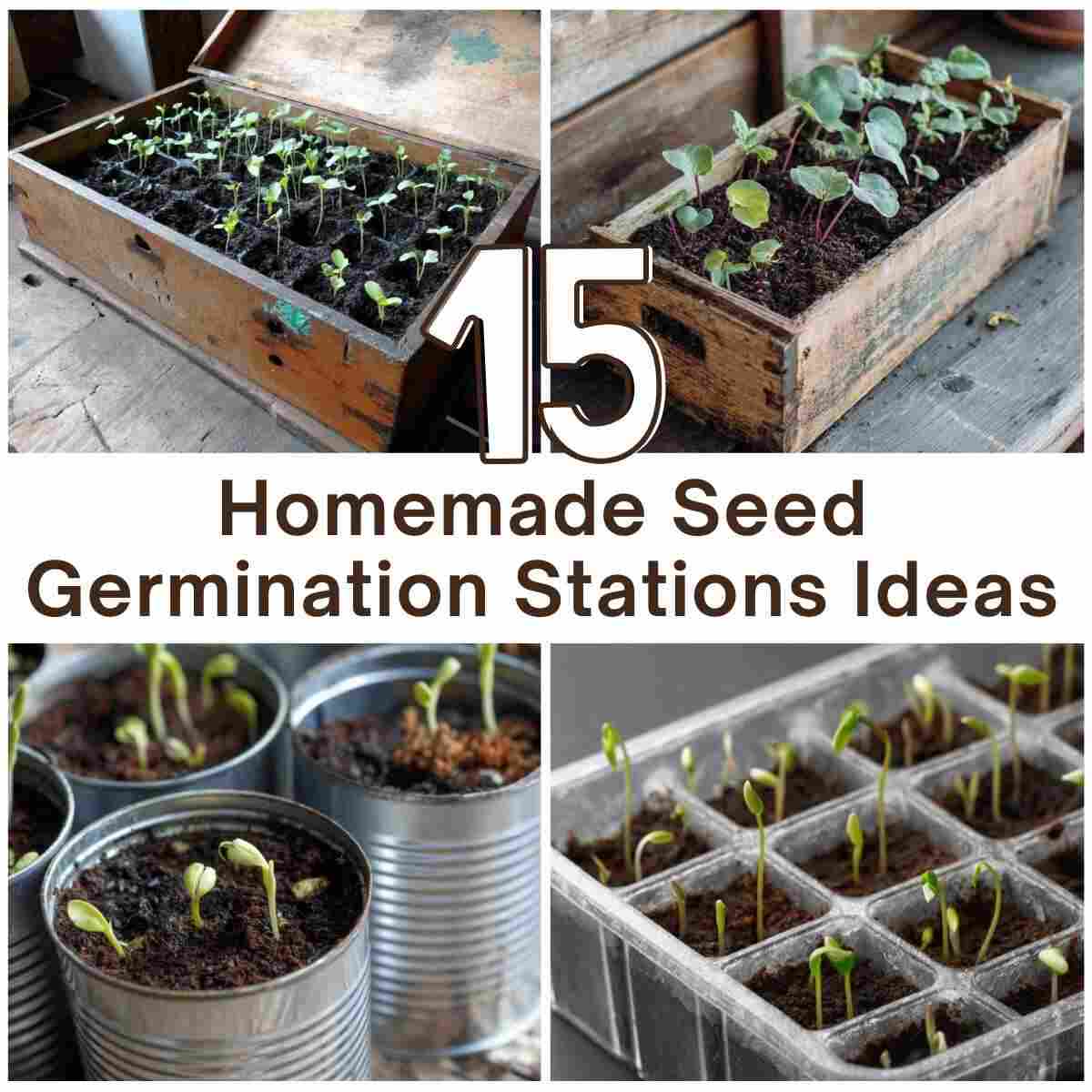 Homemade Seed Germination Stations Ideas