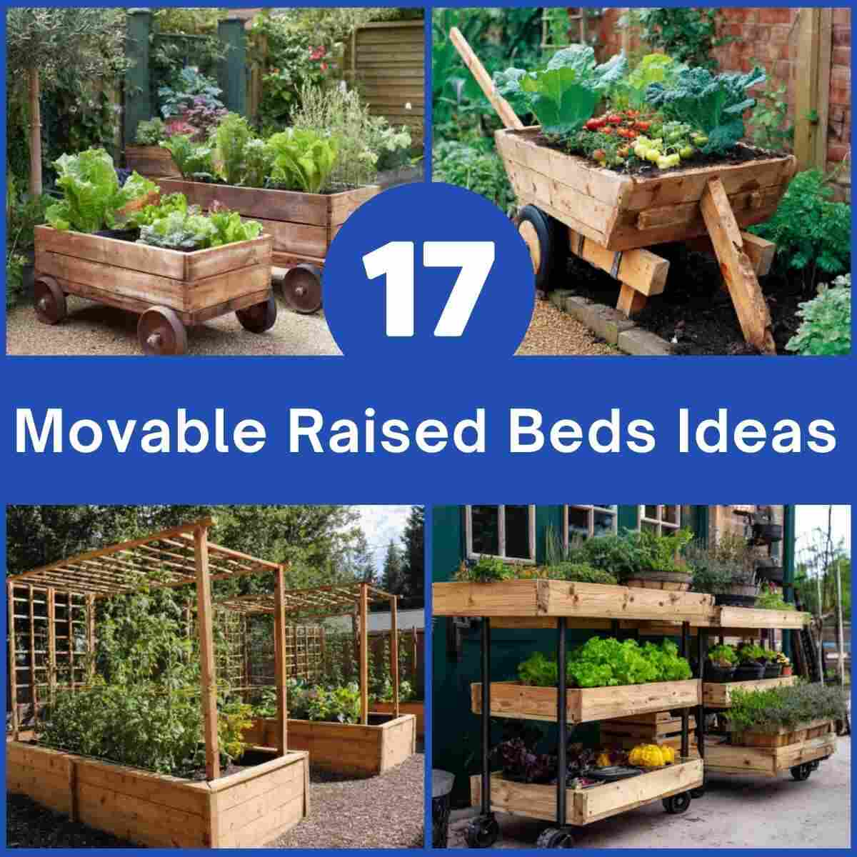 Movable Raised Beds Ideas