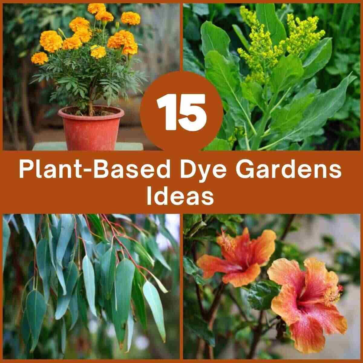 Plant-Based Dye Gardens Ideas