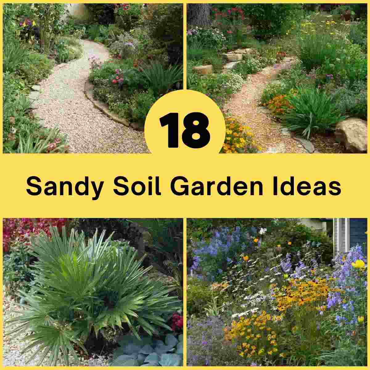 Sandy Soil Garden Ideas