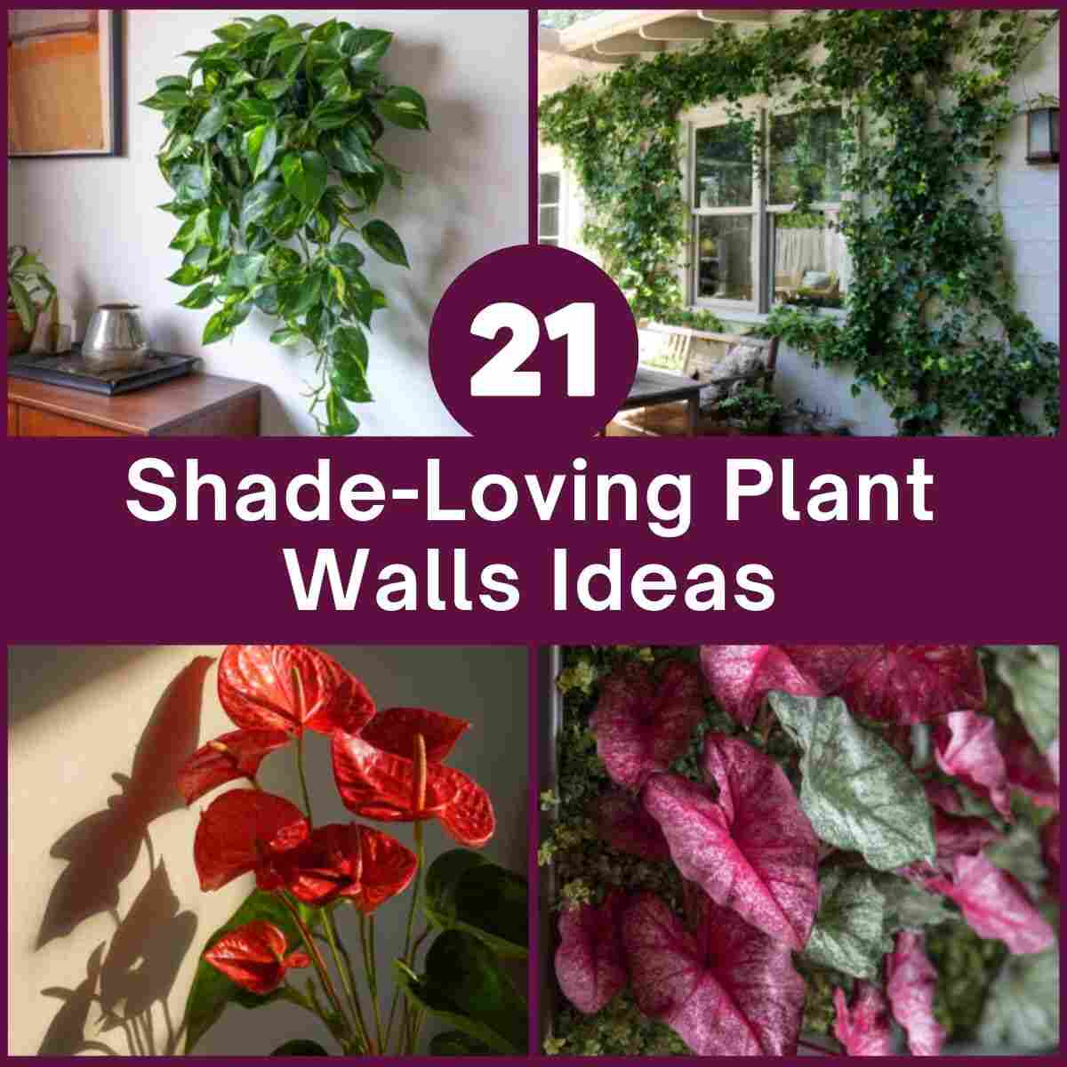Shade-Loving Plant Walls Ideas