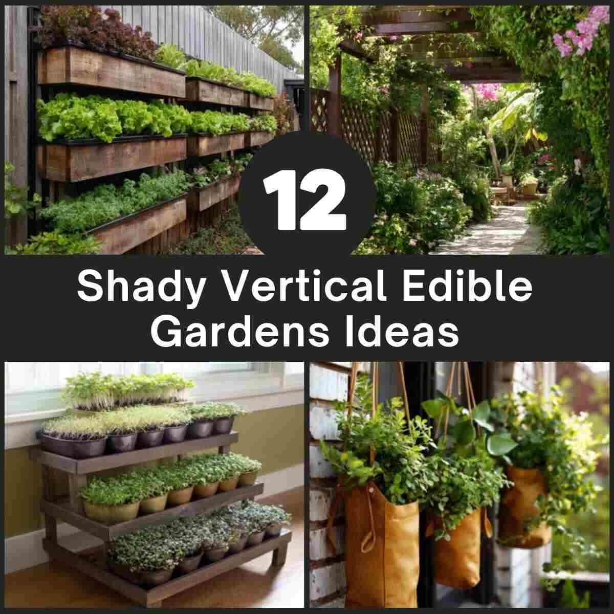Shady Vertical Edible Gardens Ideas