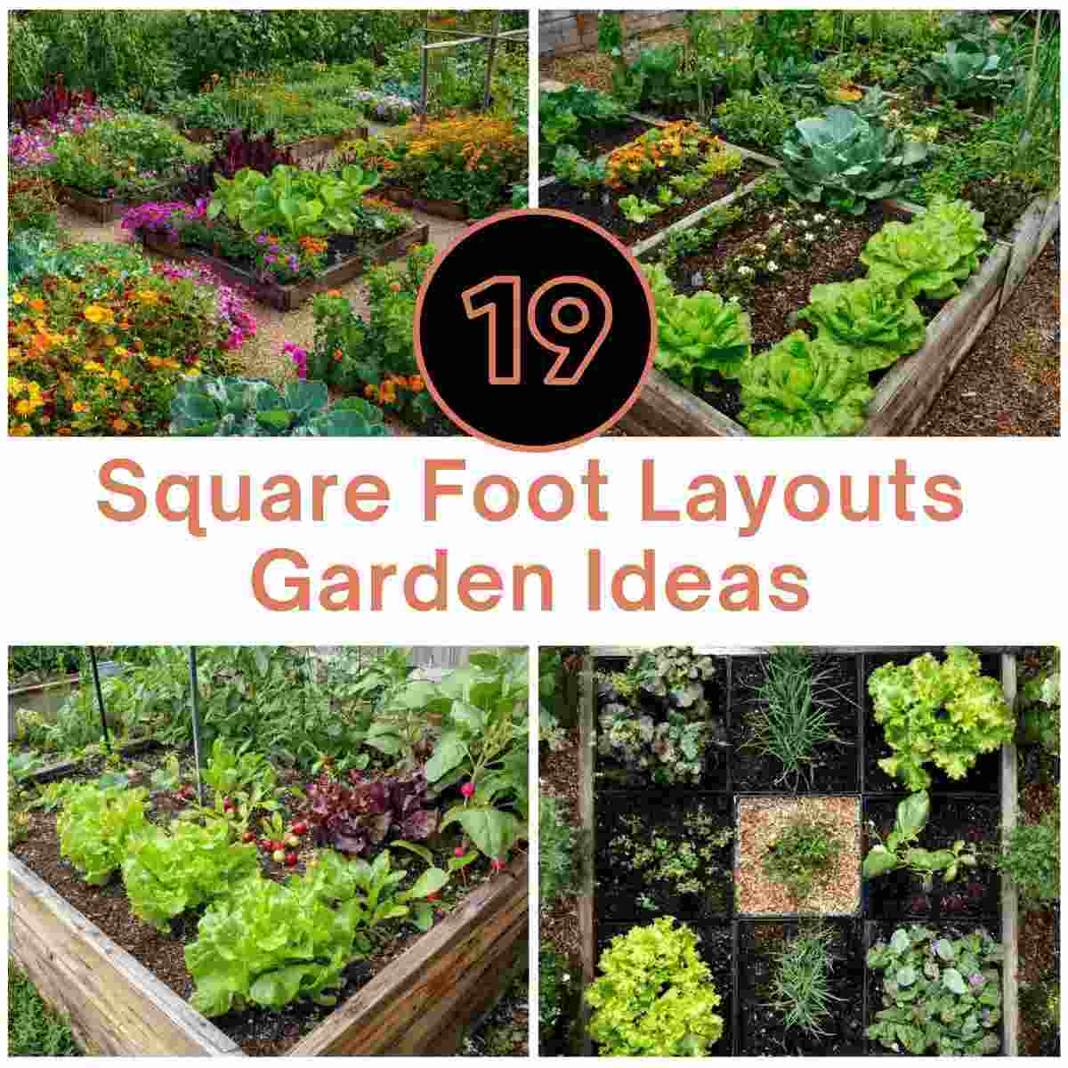 Square Foot Layouts Garden Ideas