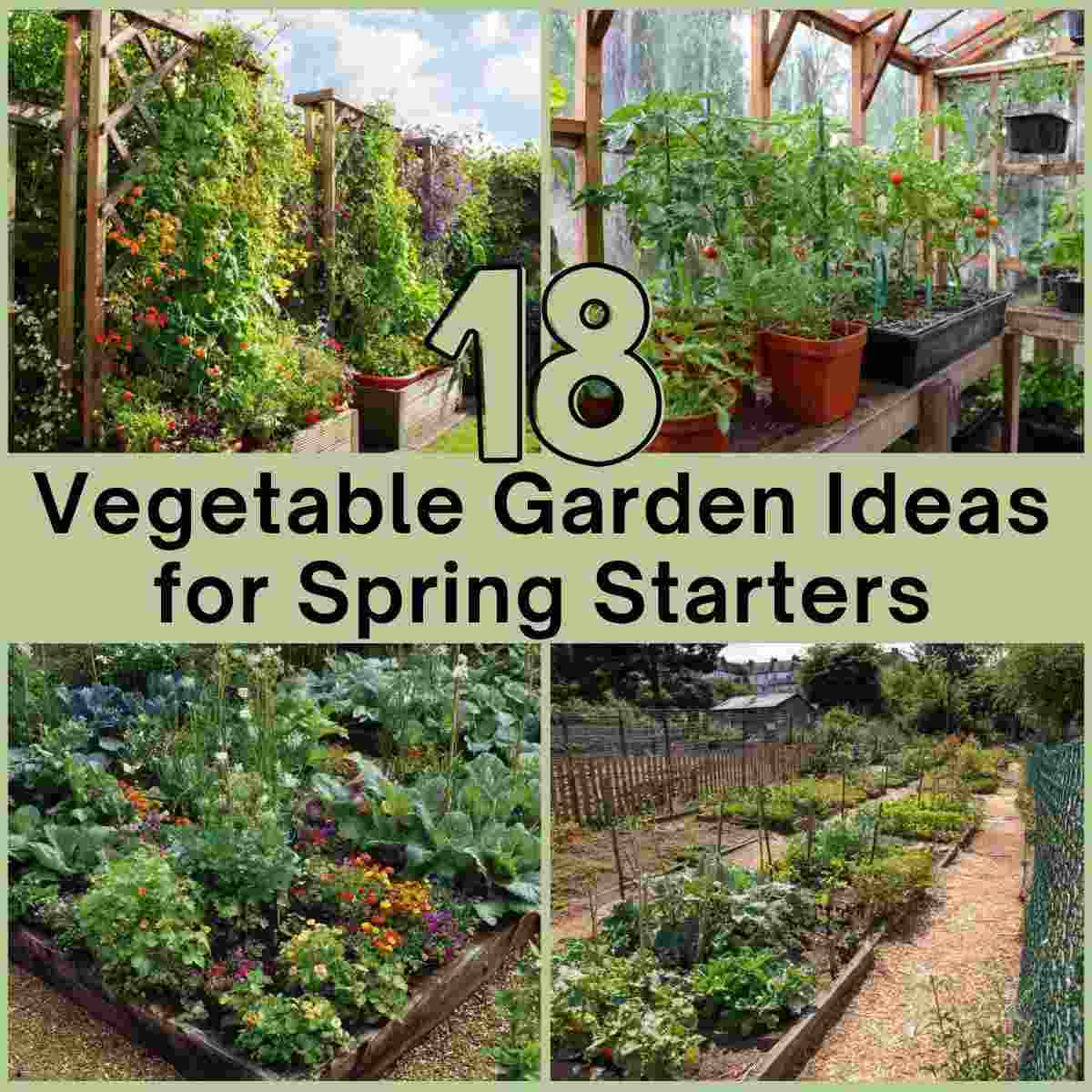 Vegetable Garden Ideas for Spring Starters