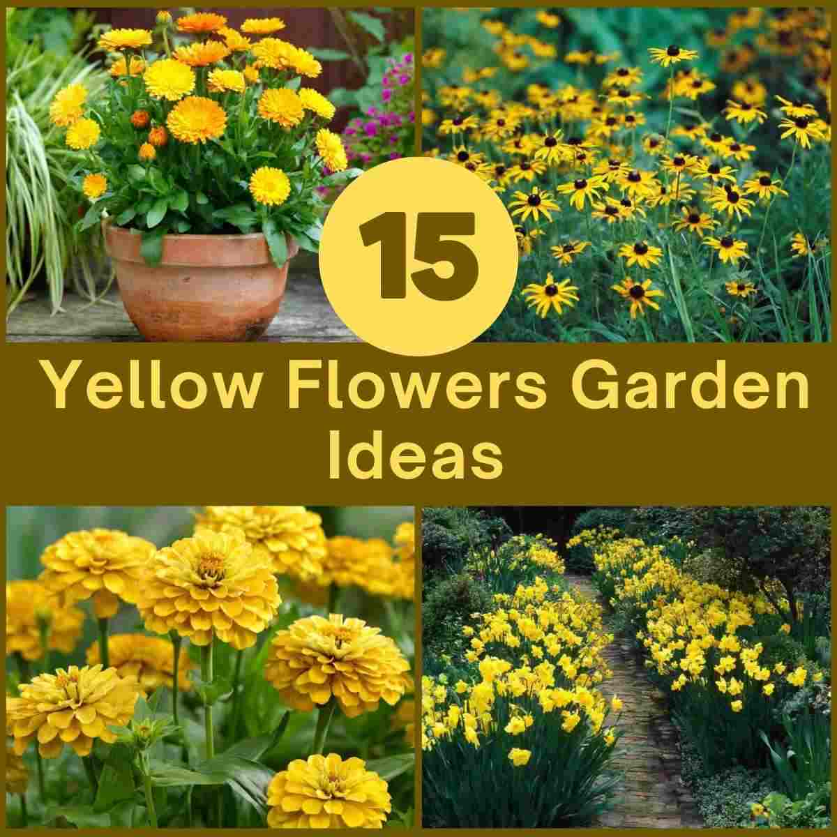 Yellow Flowers Garden Ideas