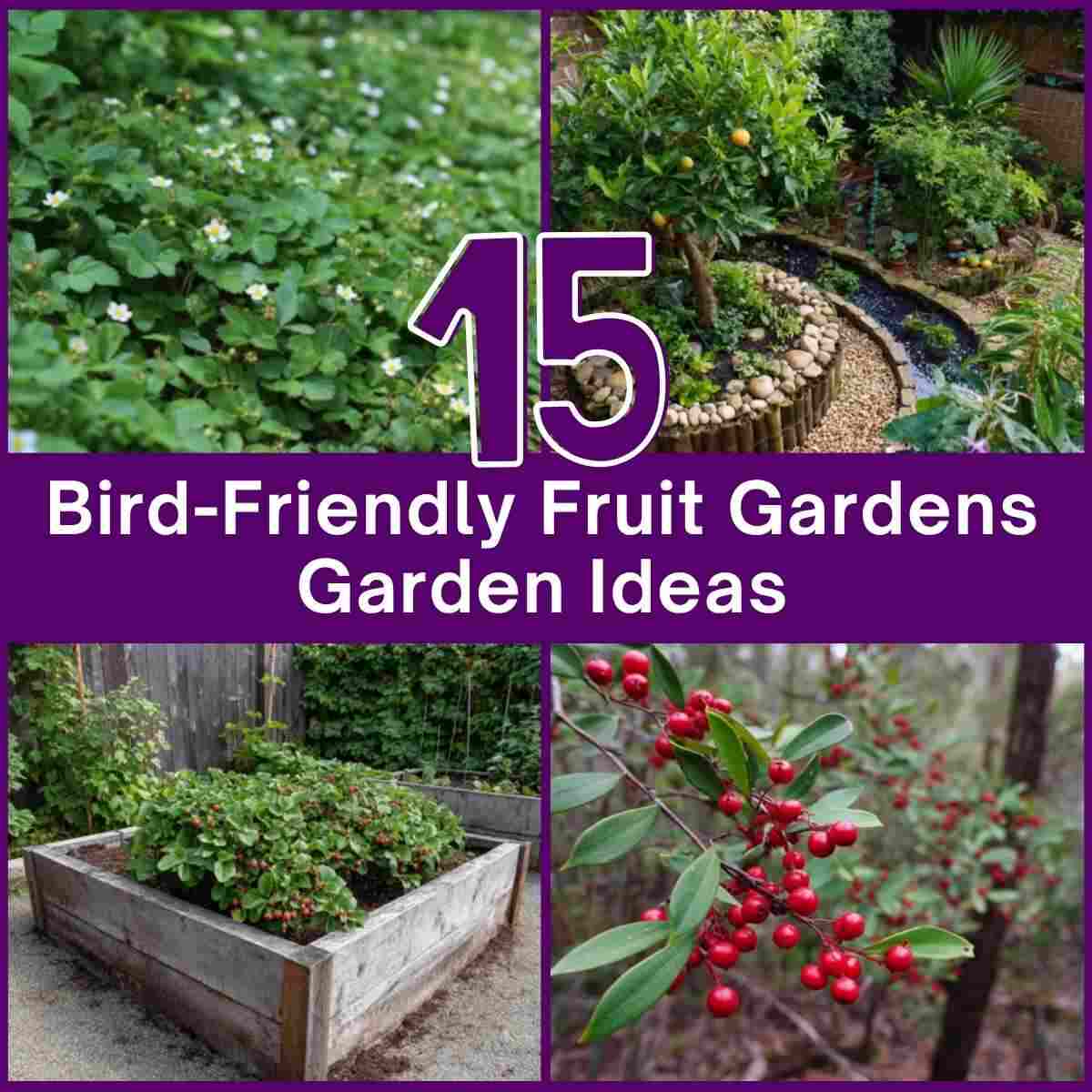 Bird-Friendly Fruit Gardens Garden Ideas