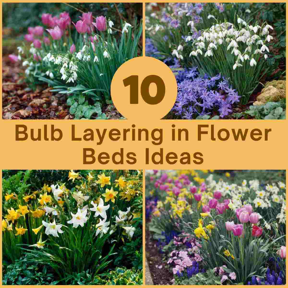 Bulb Layering in Flower Beds Ideas