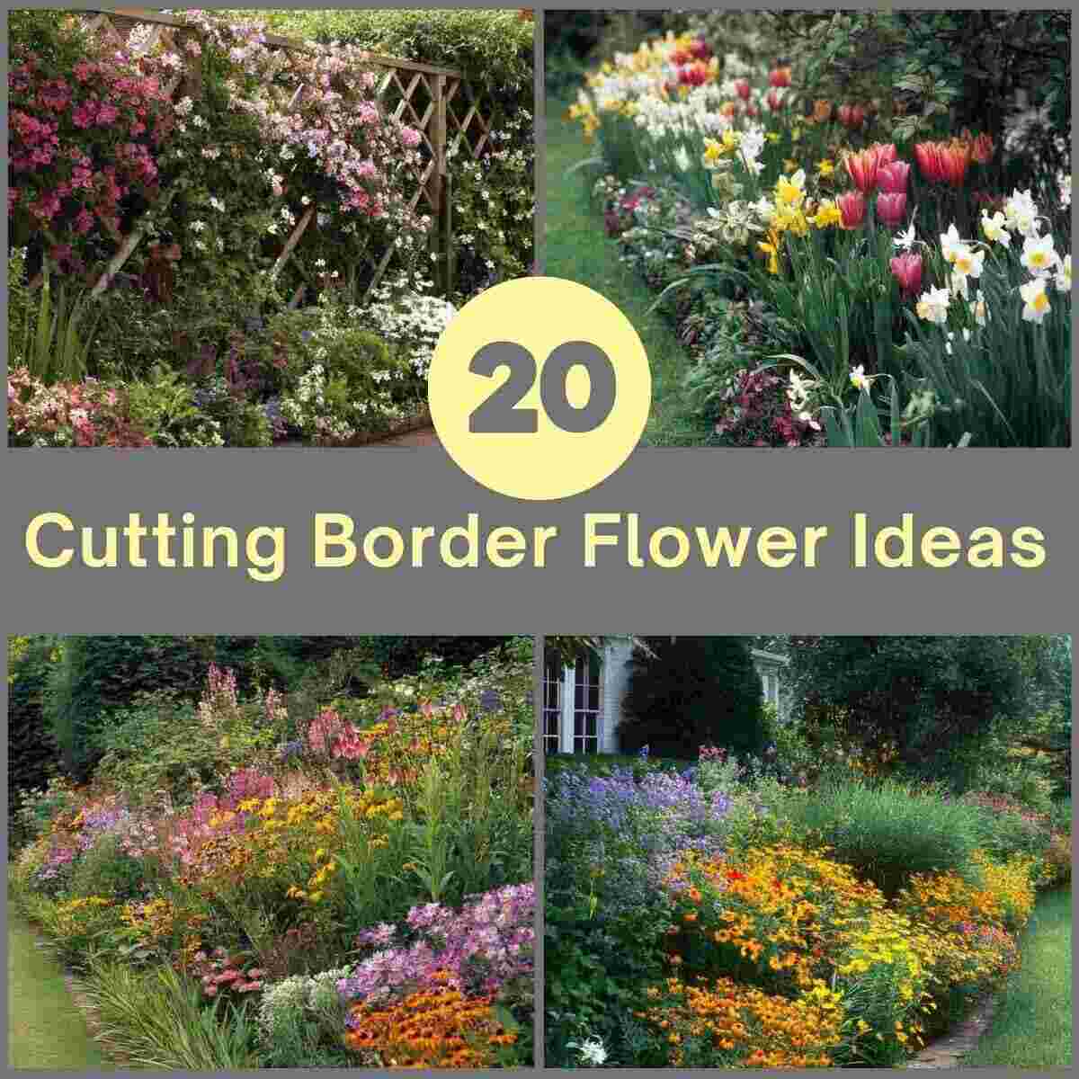Cutting Border Flower Ideas