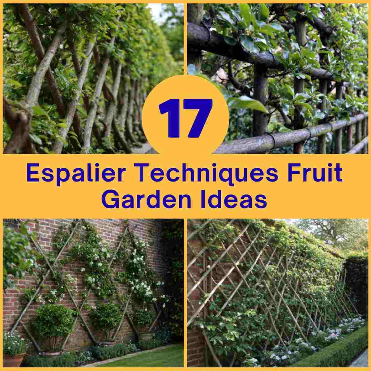 Espalier Techniques Fruit Garden Ideas