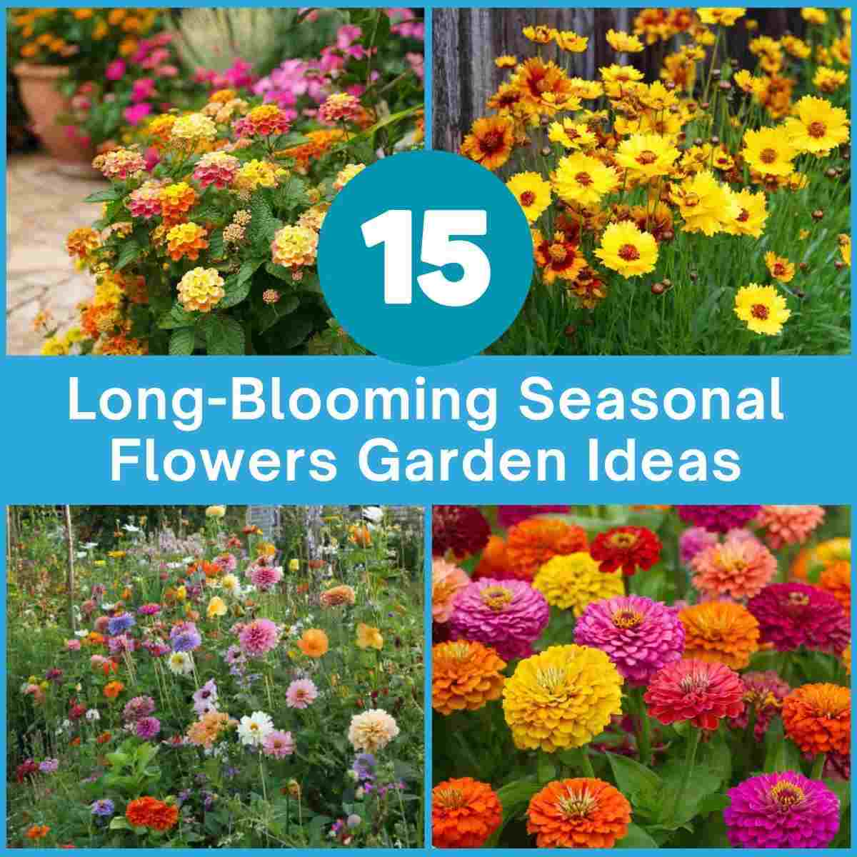 Long-Blooming Seasonal Flowers Garden Ideas