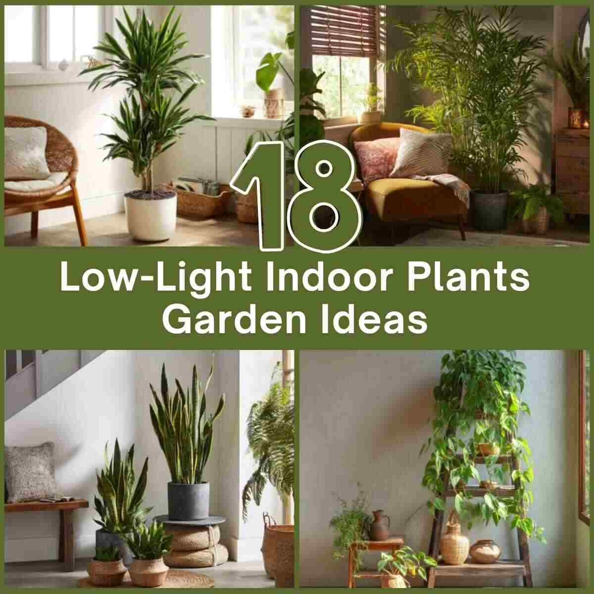 Low-Light Indoor Plants Garden Ideas