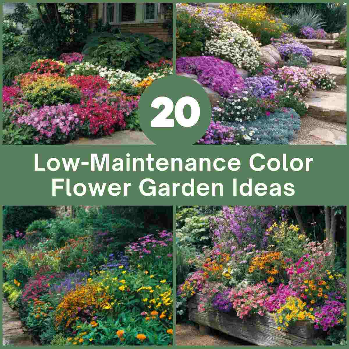 Low-Maintenance Color Flower Garden Ideas