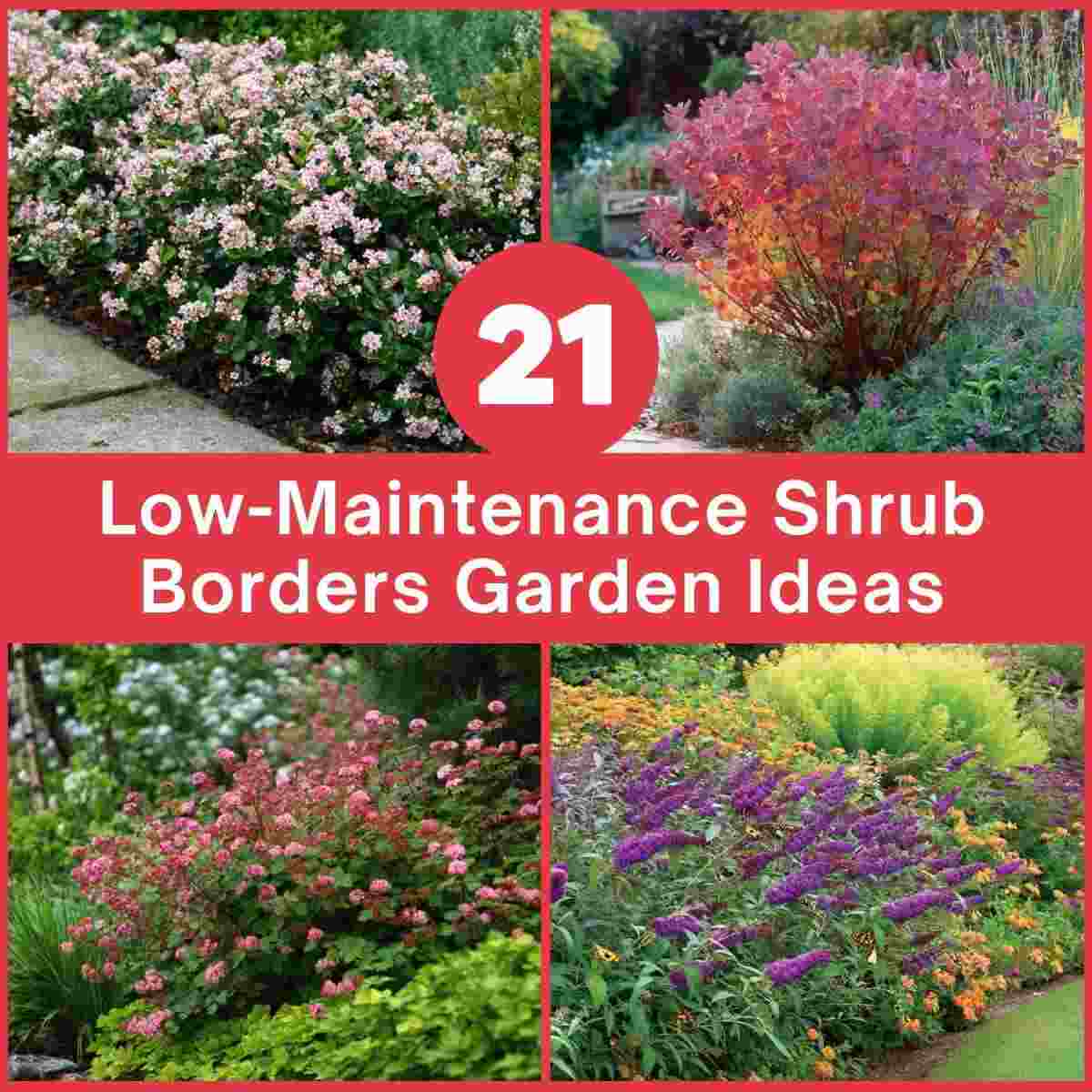 Low-Maintenance Shrub Borders Garden Ideas