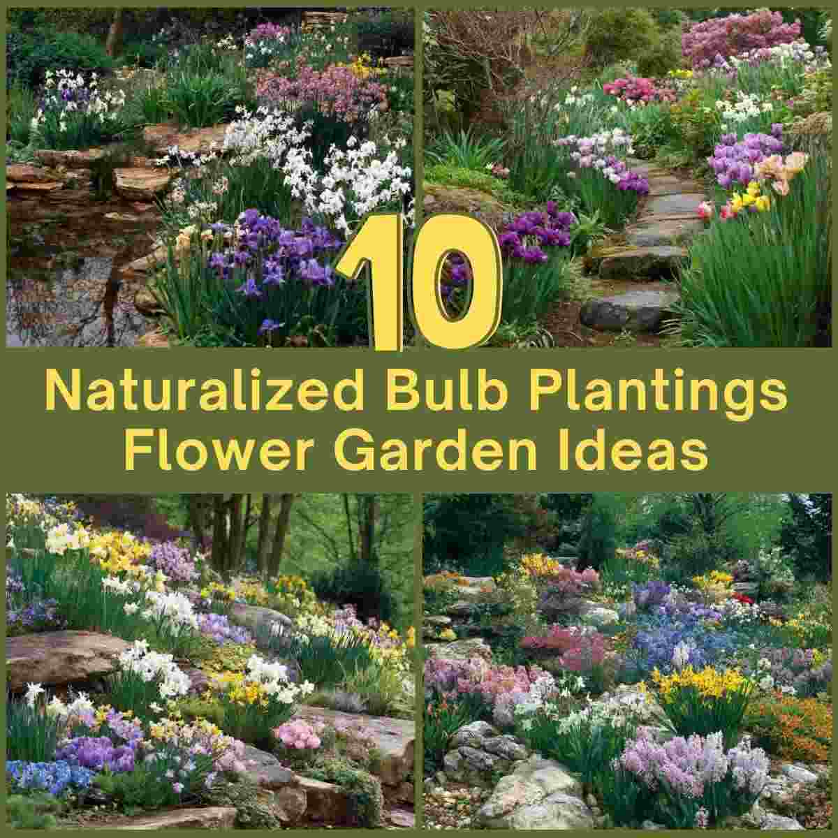 Naturalized Bulb Plantings Flower Garden Ideas