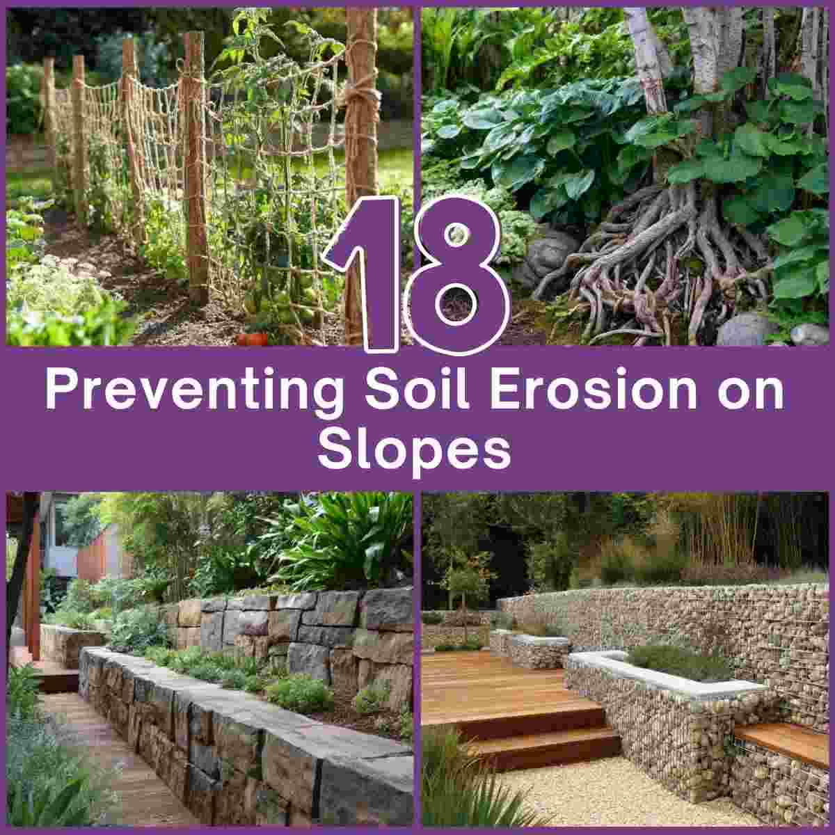 Preventing Soil Erosion on Slopes