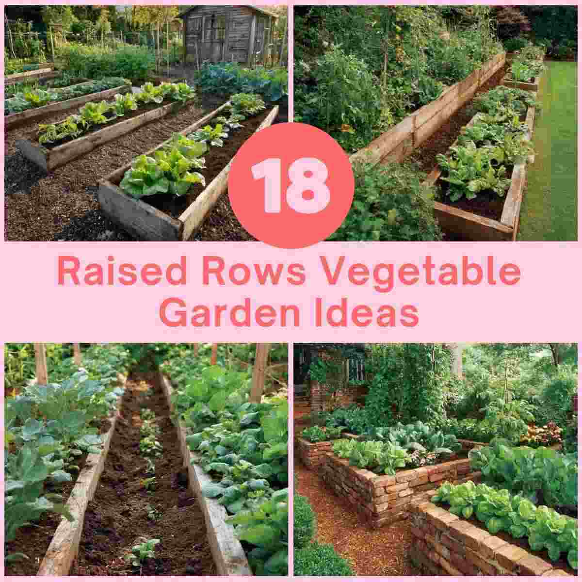 Raised Rows Vegetable Garden Ideas