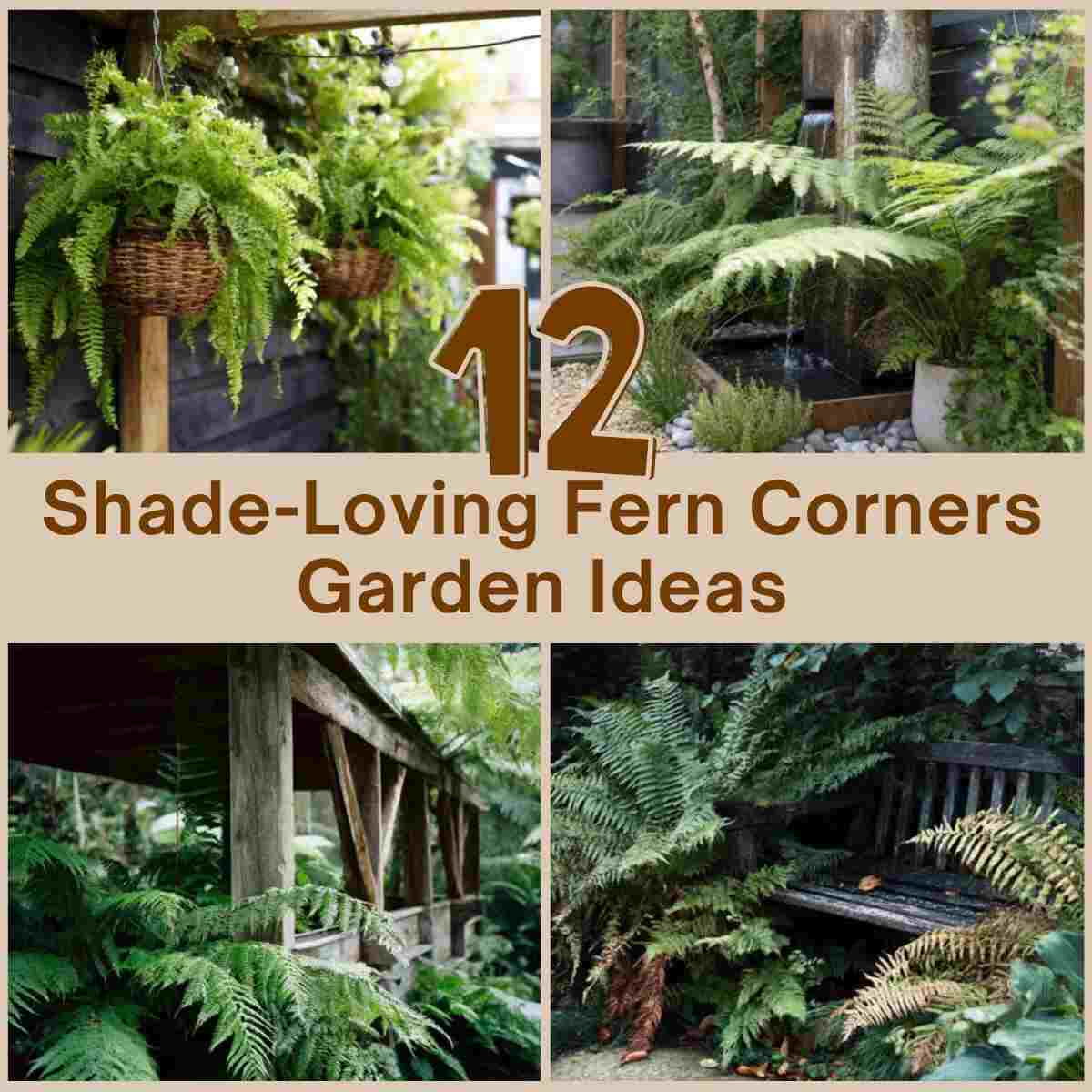 Shade-Loving Fern Corners Garden Ideas