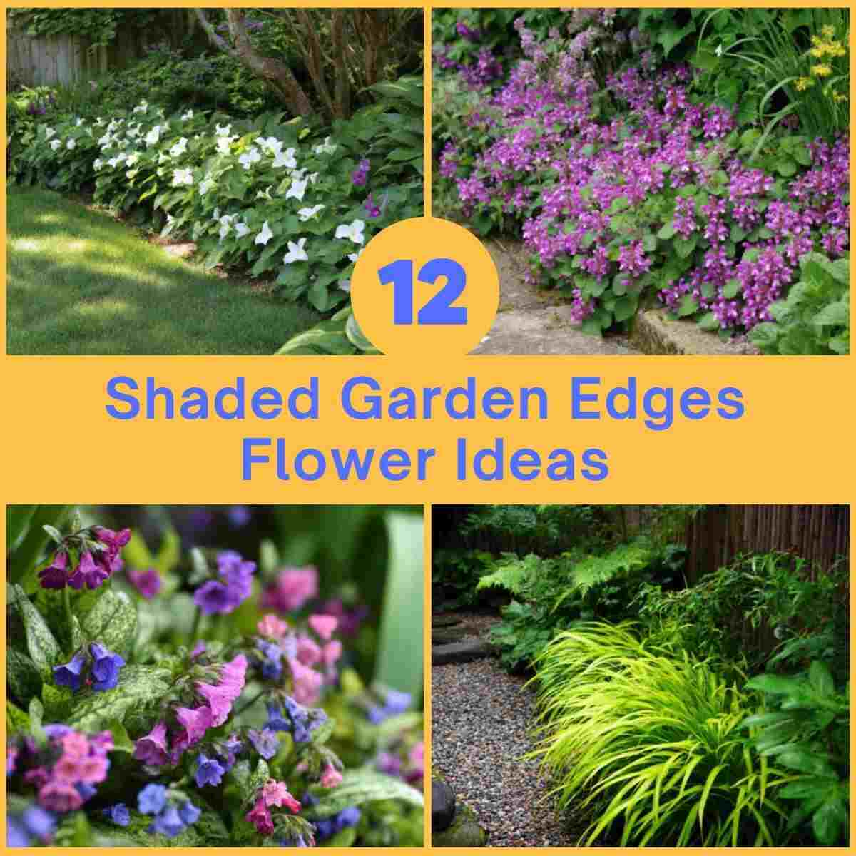 Shaded Garden Edges Flower Ideas