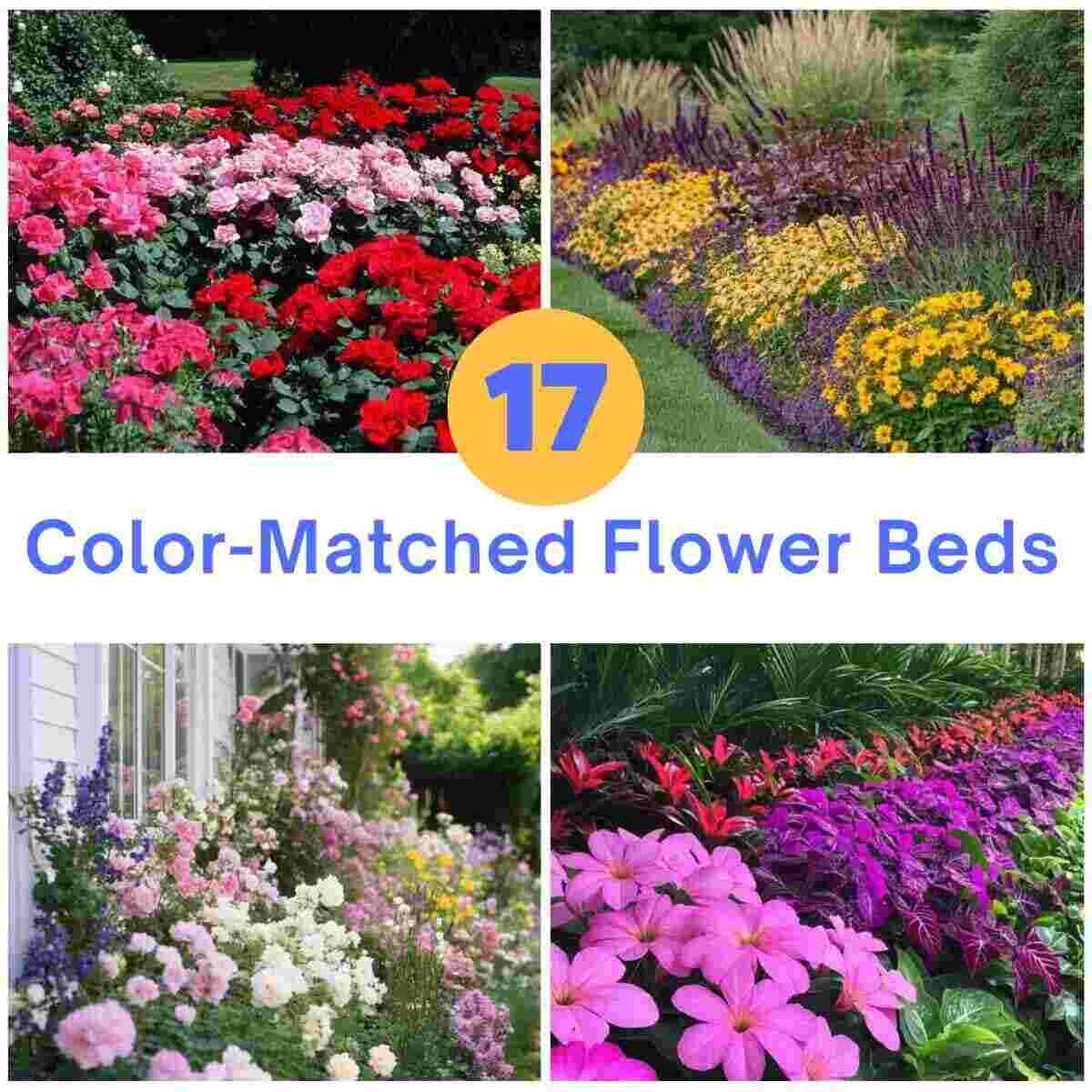 Color-Matched Flower Bed Ideas