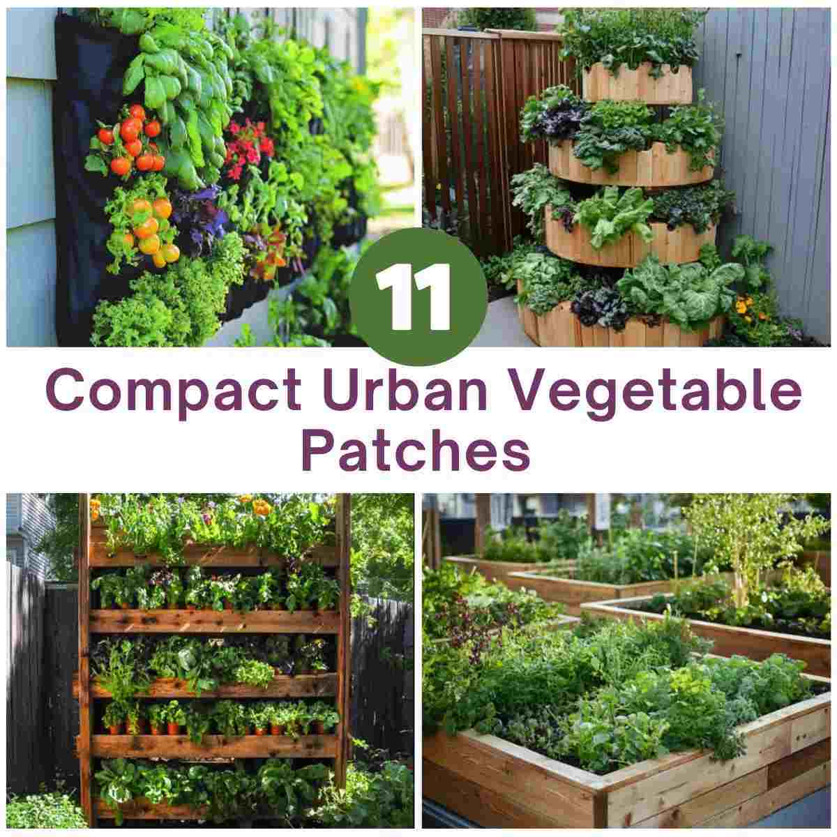Compact Urban Vegetable Patch Garden Ideas