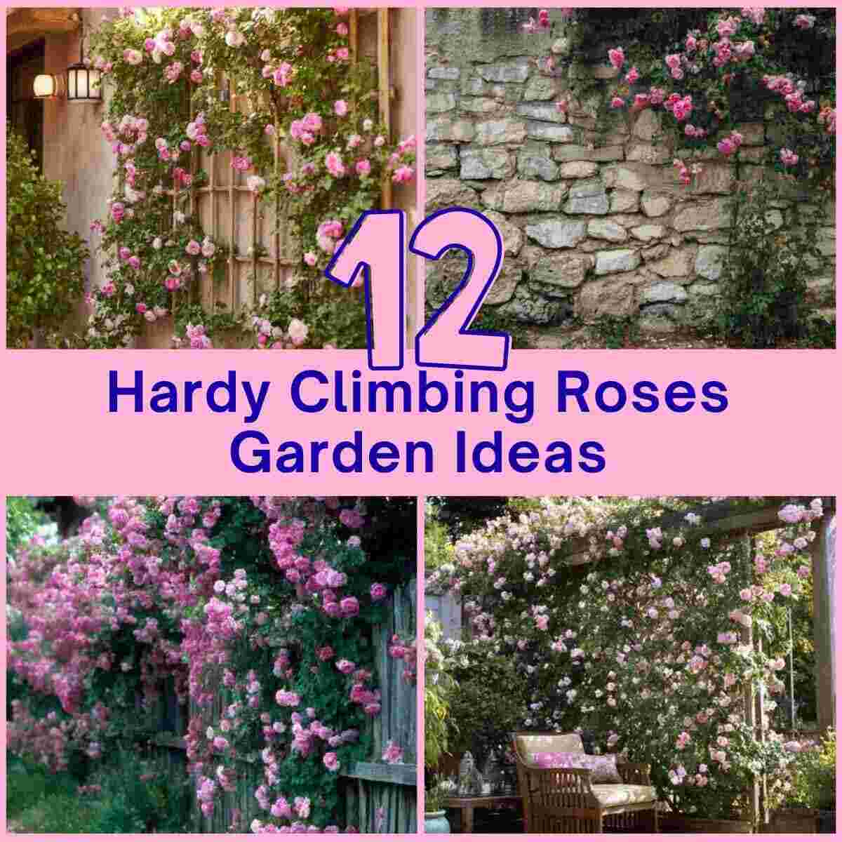 Hardy Climbing Roses Garden Ideas
