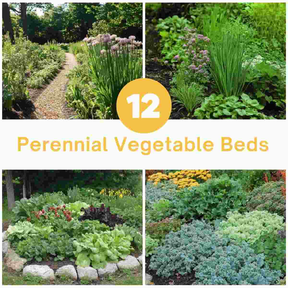 Perennial Vegetable Beds