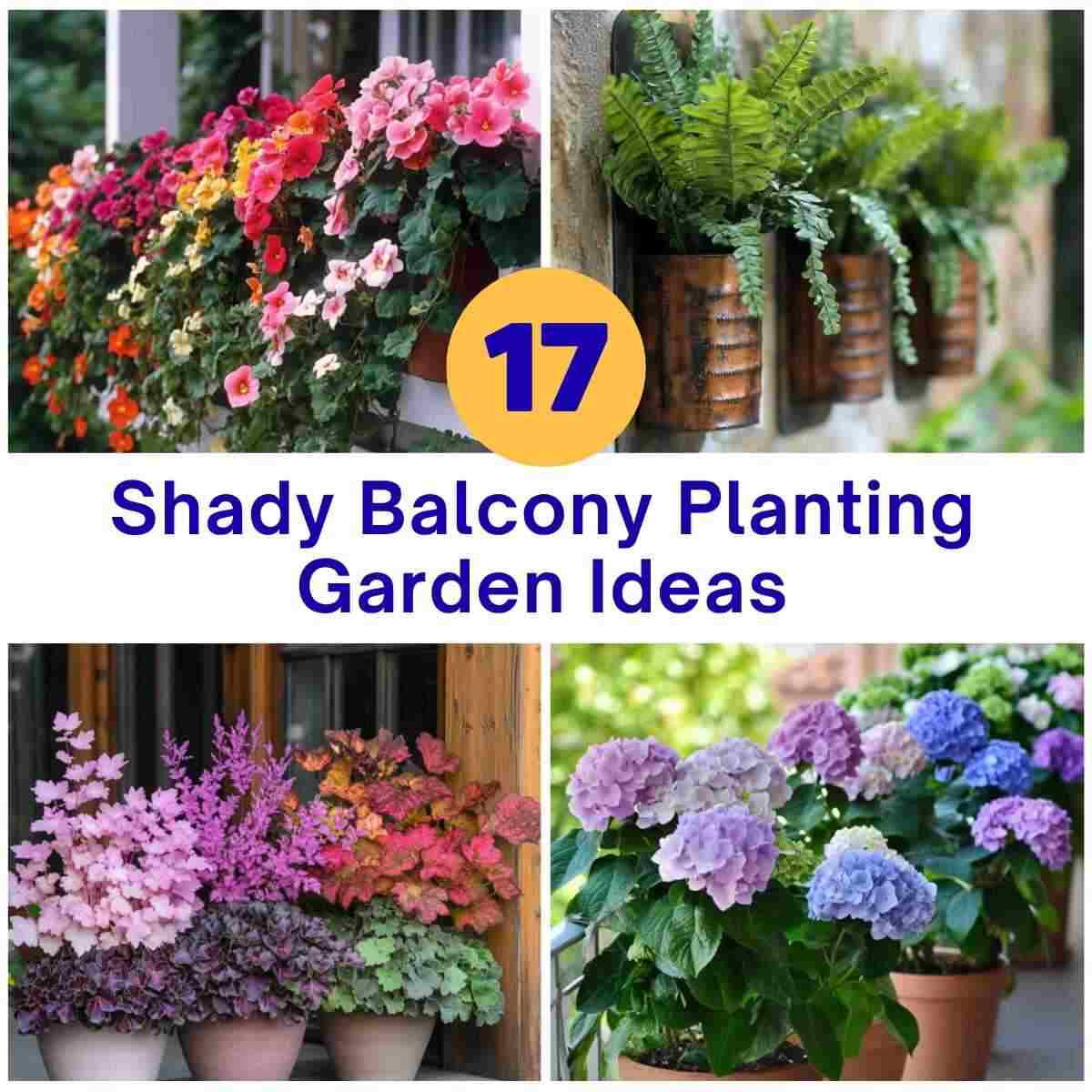 Shady Balcony Planting Garden Ideas