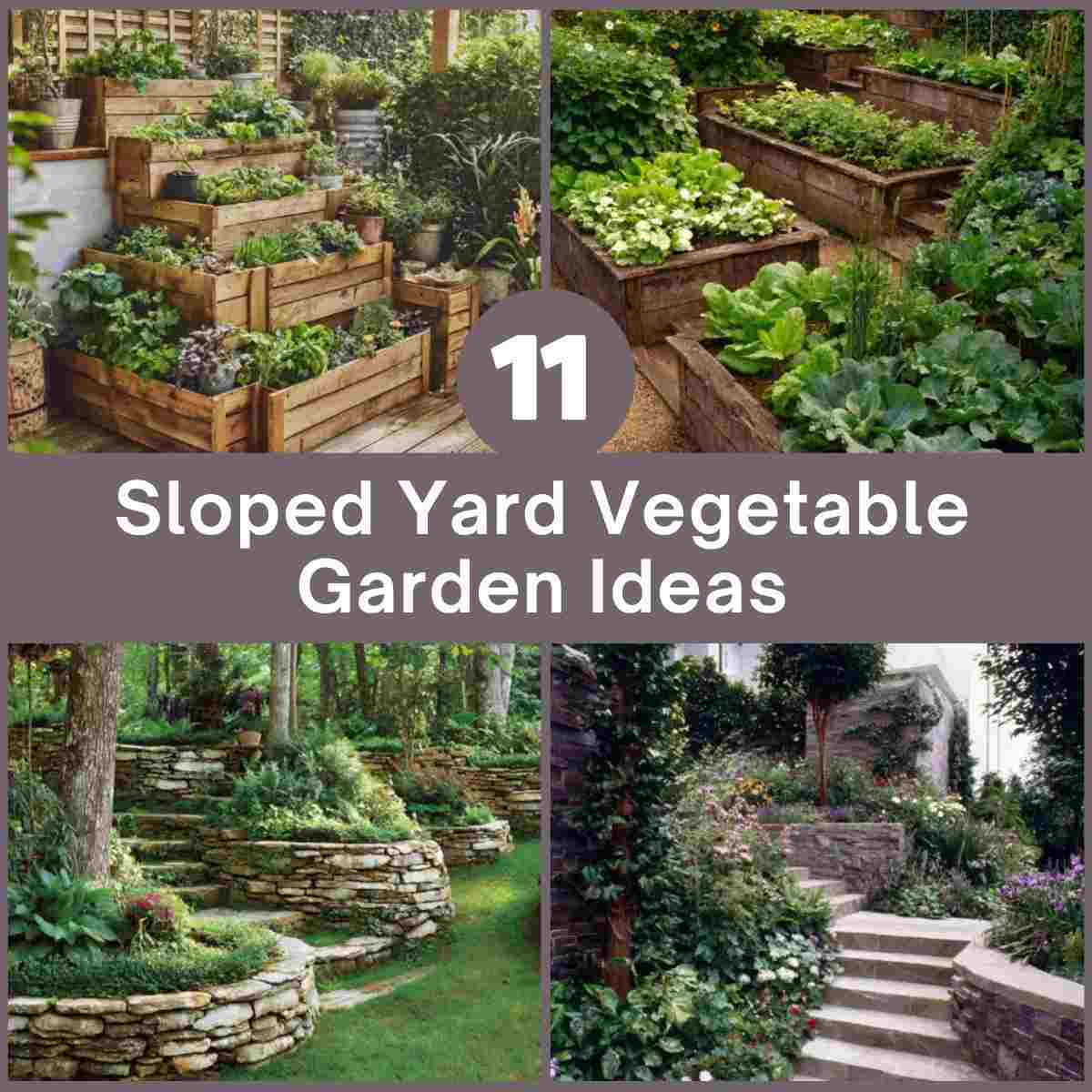 Sloped Yard Vegetable Garden Ideas