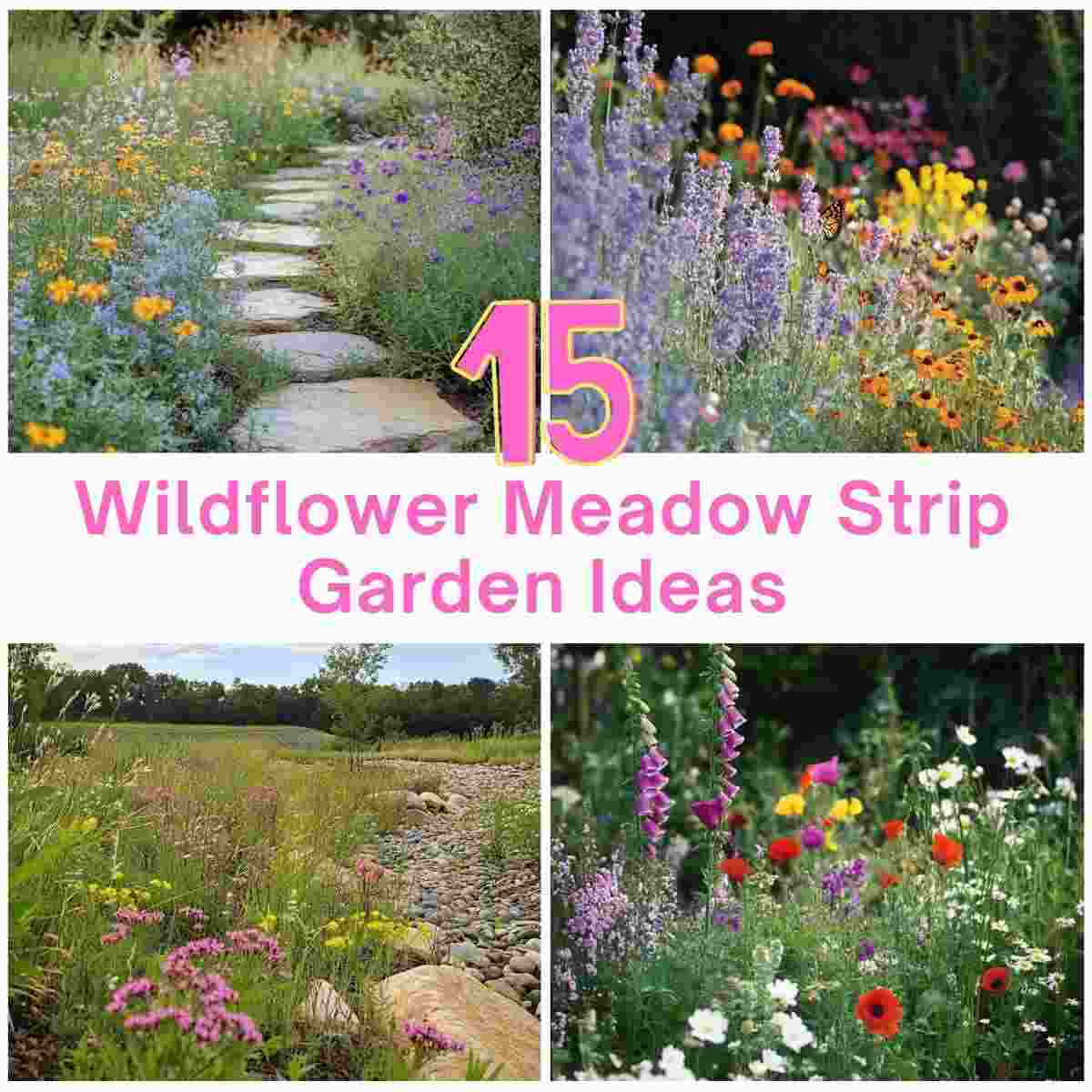 Wildflower Meadow Strip Garden Ideas